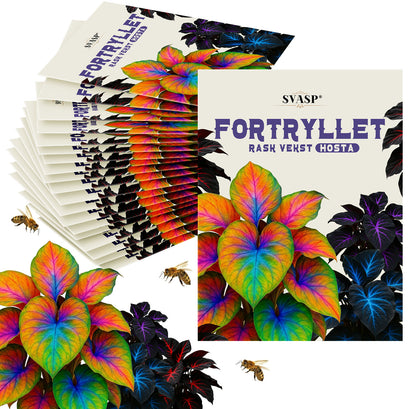 SVASP® Fortryllende Raskvoksende Hosta🌱