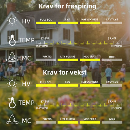 SVASP® Fortryllende Raskvoksende Hosta🌱